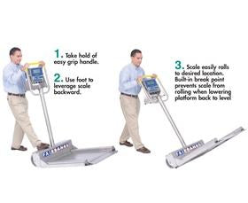 Mobile Transport Scale