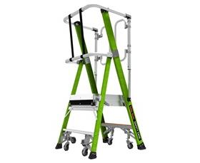 Safety Cage Ladders-H19702