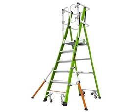 Safety Cage Ladders-H19706146