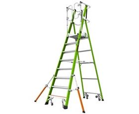 Safety Cage Ladders-H19708146