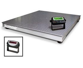 Floor Scale And Indicator Package