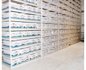 Space Plus USA Rivet Shelving - Particle Board