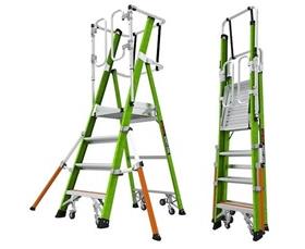 Safety Cage Ladders-H19702